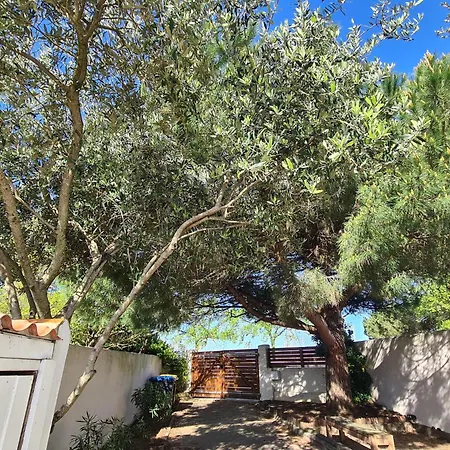 Babeth By Nuits Au Port Vila